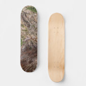 Seven Falls Colorado Skateboard (Vorderseite)