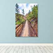 Seven Falls Walkway Bridge Canvas Print Leinwanddruck (Insitu (Holzboden))
