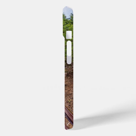 Seven Falls Walkway Bridge iPhone Case (Rückseite / Links)