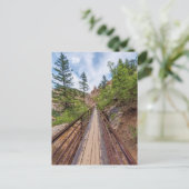 Seven Falls Walkway Bridge Postcard Postkarte (Stehend Vorderseite)