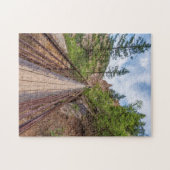 Seven Falls Walkway Brizzle Puzzle (Horizontal)