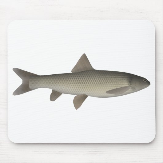 Seven Khramulya Mousepad (Vorne)