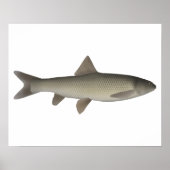 Seven Khramulya Poster (Vorne)