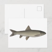 Seven Khramulya Postkarte (Vorne/Hinten)