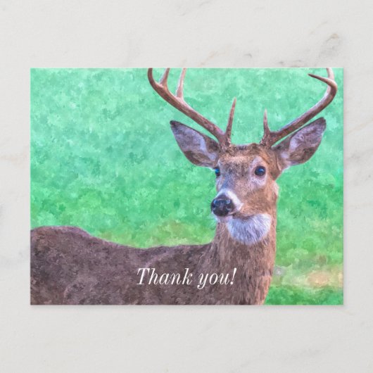 Seven Point Buck Painterly Danke Postcard Postkarte (Vorderseite)
