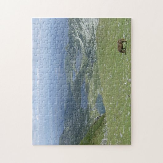 Seven Seen Rila Berg Wildes Pferd Bulgarien Puzzle (Vertikal)