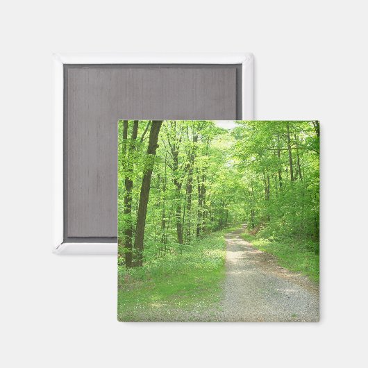 Seven Spring Magnet (Vorderseite/Rückseite)