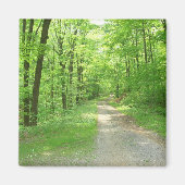 Seven Spring Magnet (Vorne)