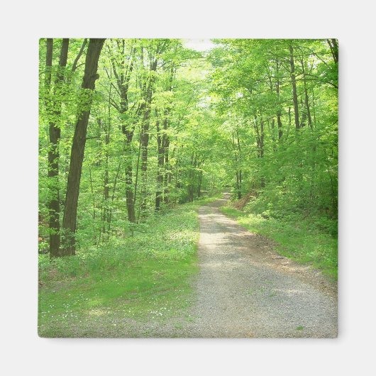 Seven Spring Magnet (Vorne)