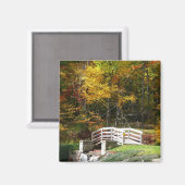 Seven Springs Fall Bridge I Herbst Landschaft Magnet (Vorderseite/Rückseite)