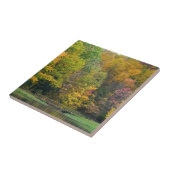 Seven Springs Fall Bridge II Herbstlandschaft Fliese (Seite)