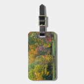 Seven Springs Fall Bridge II Herbstlandschaft Gepäckanhänger (Vorderseite vertikal)