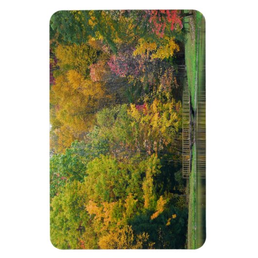 Seven Springs Fall Bridge II Herbstlandschaft Magnet (Vertikal)