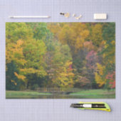 Seven Springs Fall Bridge II Herbstlandschaft Seidenpapier (Handwerk)