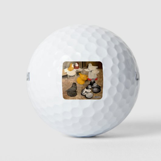 Seven Trumpeter Tauben Golfball (Vorderseite)