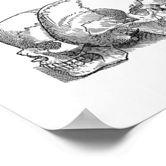 Seven Vintag Skulls Poster (Ecke)