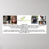 sevenblessings.org poster (Vorne)