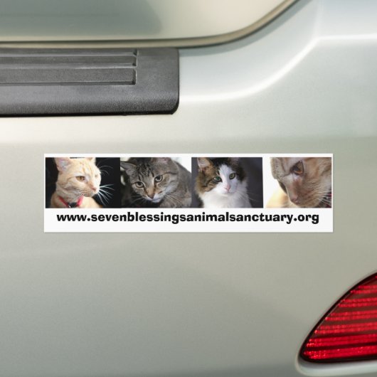 sevenblessingsanimalsanctuary.org autoaufkleber (Auf Auto)