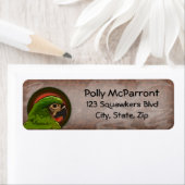 Severe Macaw (Insitu)