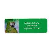 Severe Macaw Parrot Bird-Adresse (Vorne)