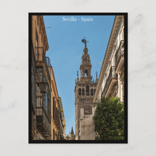 Sevilla Stadt, Spanien Postcard Postkarte (Vorderseite)