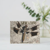 Sewanee Dragonfly - OlioStudios.com Postkarte (Stehend Vorderseite)