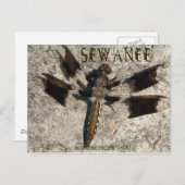Sewanee Dragonfly - OlioStudios.com Postkarte (Vorne/Hinten)