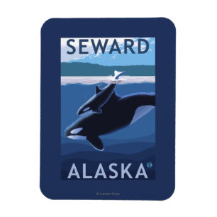 Seward, AlaskaOrca und Calf Szene Magnet