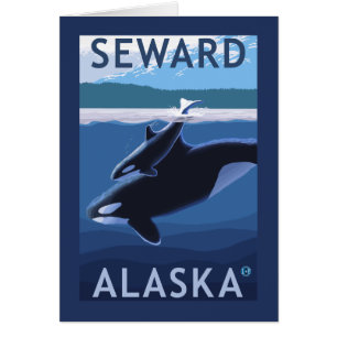 Seward, AlaskaOrca und Kalb-Szene