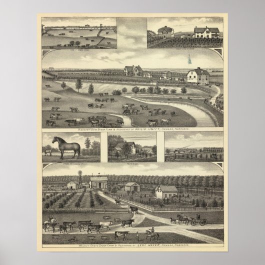Seward Farms, Nebraska Poster (Vorne)