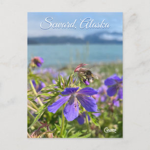 Seward Geranium - Postkarte