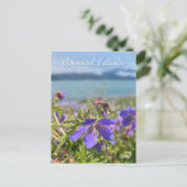 Seward Geranium - Postkarte (Stehend Vorderseite)