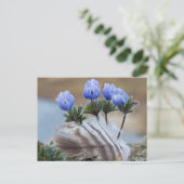 Seward Halbinsel, Alaska, arktische Wildblumen Postkarte (Stehend Vorderseite)