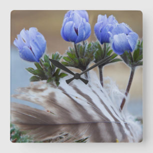 Seward Halbinsel, Alaska, Arktische Wildblumen Quadratische Wanduhr