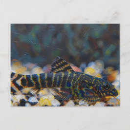 Sewellia gefleckter juveniler Gebirgsbachschmerle Postkarte