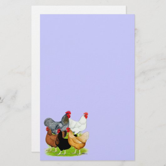 Sex-verbundenes Huhn-Quintett Briefpapier (Vorne/Hinten)