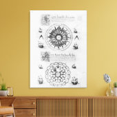 Sextant Leinwanddruck (Insitu (Wohnzimmer))