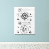 Sextant Leinwanddruck (Insitu (Holzboden))