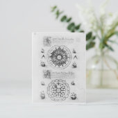 Sextant Postkarte (Stehend Vorderseite)