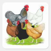 Sexuelles Quintet Quadratischer Aufkleber (Vorderseite)