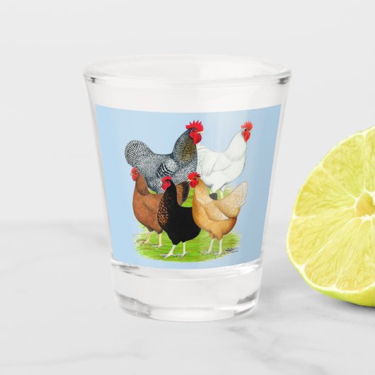 Sexuelles Quintet Schnapsglas (Vorderseite)
