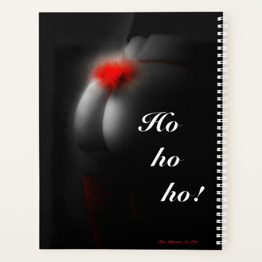 Sexy Glamour Babe Naughty "ho ho" Weihnachtsplaner Planer (Rückseite)