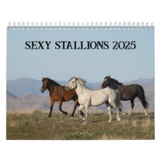 Sexy Hengste 2025 Kalender