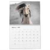 Sexy Hengste 2025 Kalender (Feb 2027)