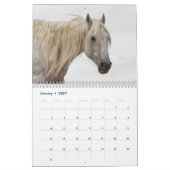 Sexy Hengste 2025 Kalender (Jan 2027)