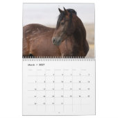 Sexy Hengste 2025 Kalender (Mär 2027)