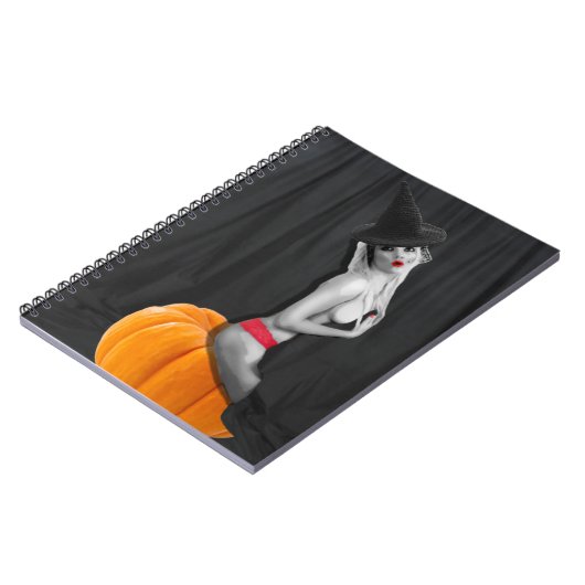 Sexy Pinup Hexe Magic Zauberbuch-Journal Notizblock (Linke Seite)