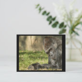 Sexy Silverback Gorilla Postcard Postkarte (Stehend Vorderseite)