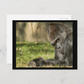 Sexy Silverback Gorilla Postcard Postkarte (Vorne/Hinten)