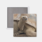 Seychelle Aldabran Landschildkröte Magnet (Vorderseite/Rückseite)